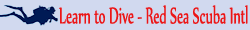 PADI Specialty Diving Courses: PADI EANX Enriched Air Nitrox Certification with Easy Divers-Red Sea in Egypte.