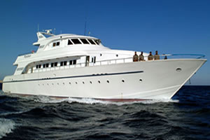 M/Y Excellence Liveaboard Diving Motor Yacht in the South Red Sea Egypt