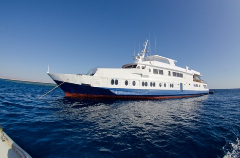 M/Y Sea Queen I Luxury Motor Yacht Diving Liveaboard with Steel Hull in Sharm el Sheikh, Egypt M/Y Sea Queen I Luxury Motor Yacht Diving Liveaboard with Steel Hull in Sharm el Sheikh, Egypt
